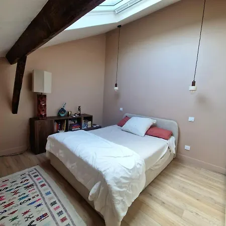 Duplex Lumineux Saint Charles Apartament