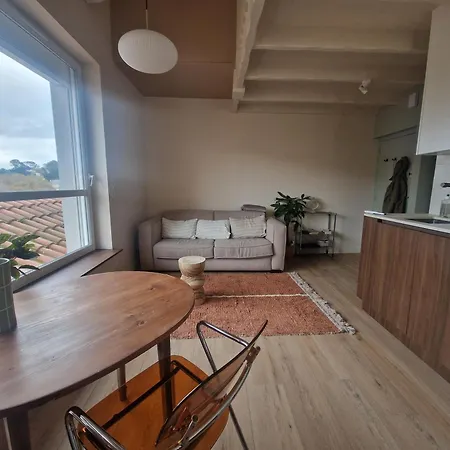 Duplex Lumineux Saint Charles Biarritz